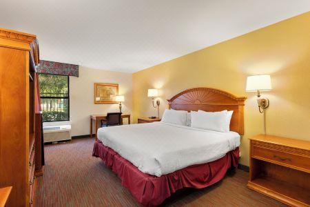 Orlando Palms - 9