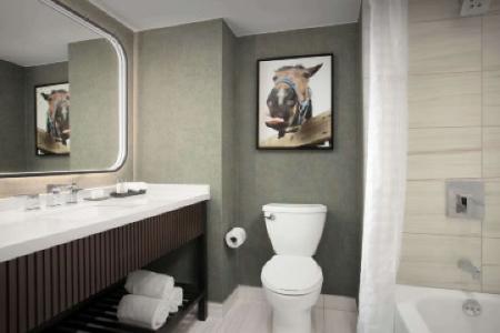 Embassy Suites by Hilton Dallas Near the Galleria - 26