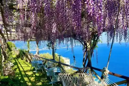 B&B Il Pavone - 1