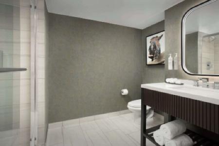 Embassy Suites by Hilton Dallas Near the Galleria - 11