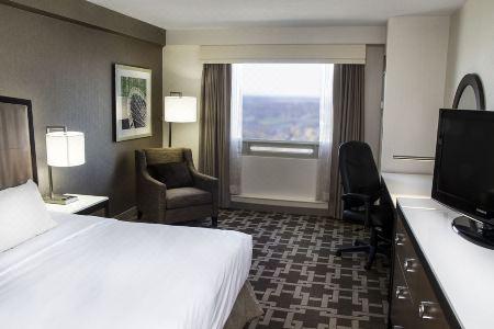 Hilton Niagara Falls/ Fallsview and Suites - 108