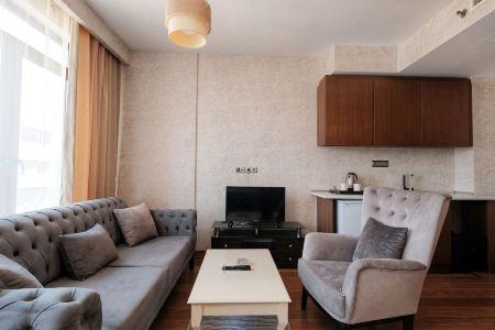 Sabi̇ha Gokcen İstanbul House - 70