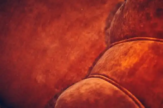 Palma Riad - Adults Only - 257