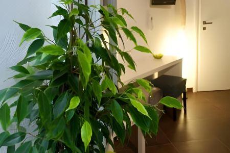 B&B Carella - 5