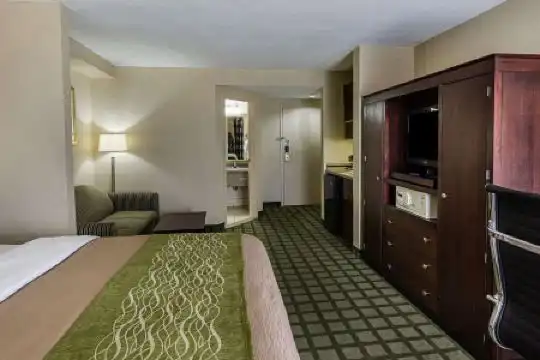 Comfort Inn Southwest Fwy at Westpark - 21
