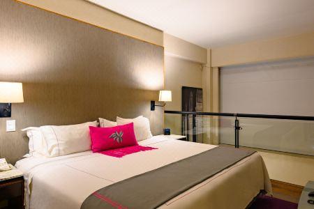 Las Suites Campos Eliseos - 64
