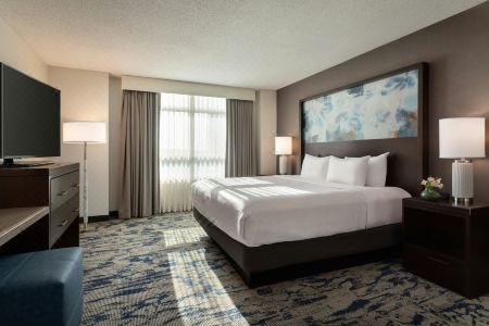 Embassy Suites by Hilton Atlanta at Centennial Olympic Park - 71