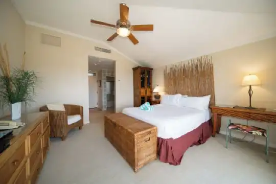 Kapalua Villas Maui - 284