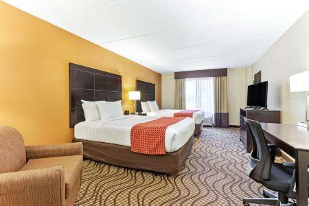 Comfort Inn & Suites Tampa North I-75 - 19