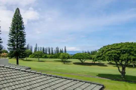 Kapalua Villas Maui - 473