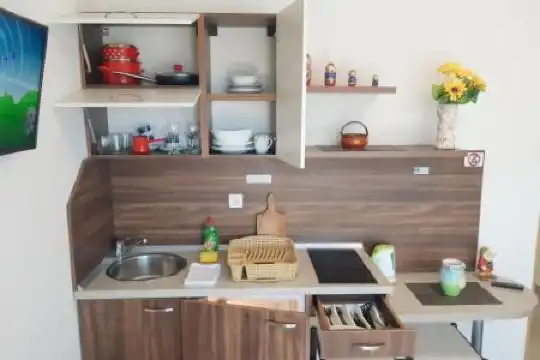 House Ivana Vuksanovic - 69