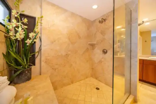 Kapalua Villas Maui - 46