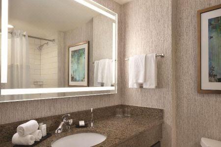 Embassy Suites by Hilton Atlanta at Centennial Olympic Park - 72