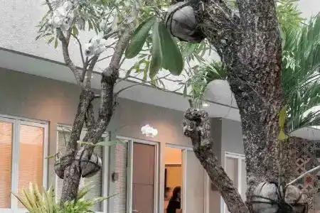 Seruni Guest House - 5