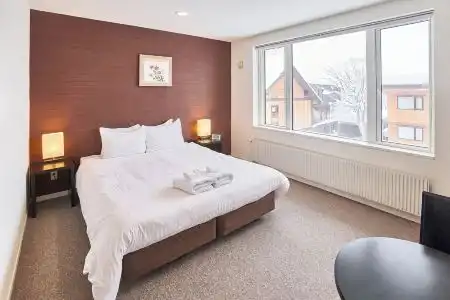 Niseko Central Houses and Apartments - 11