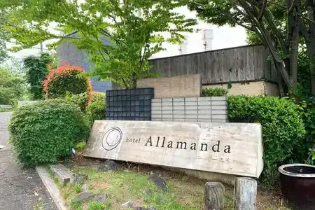 Allamanda - 7