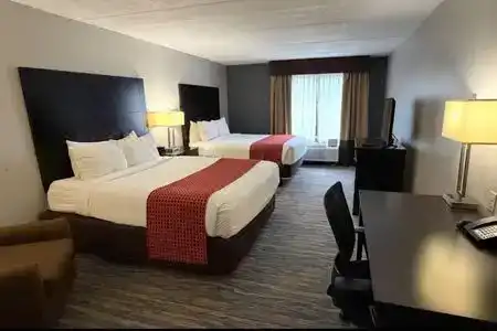Comfort Inn & Suites Tampa North I-75 - 11