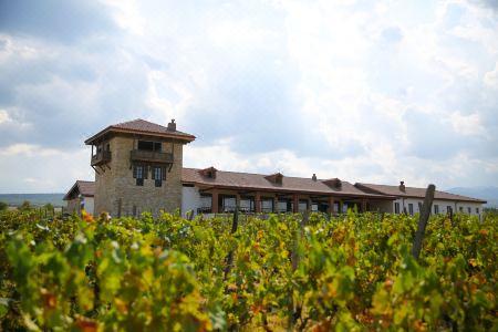 Château Mosmieri & Winery - 6