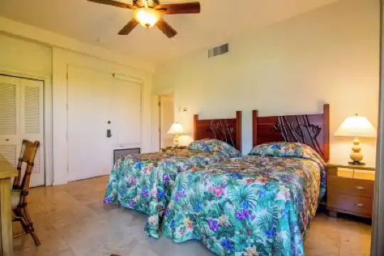 Kapalua Villas Maui - 213