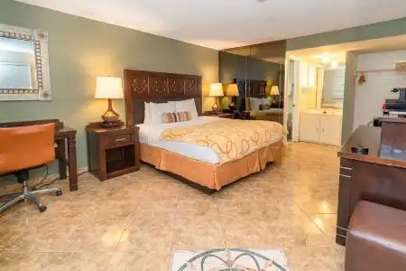 Sevilla Inn Kissimmee- Near Disney - 13