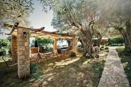 Holiday Park Olive Tree - 9