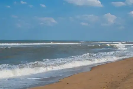 Pearl International - 4