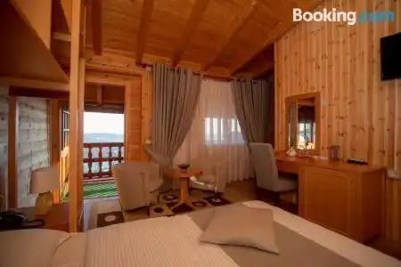 Shpija e Gjyshit - 12