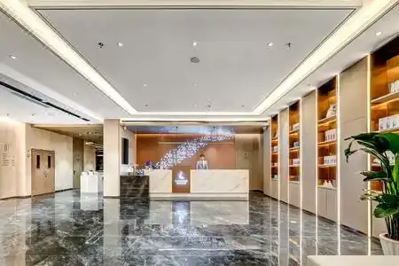 Lavande - 4