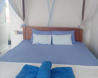Moon Light Guest - 24