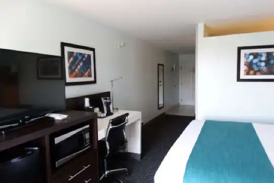 Best Western Plus Orlando Lake Buena Vista South Inn Suites - 55