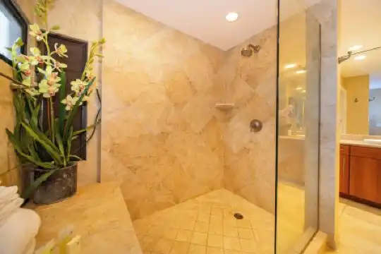 Kapalua Villas Maui - 452