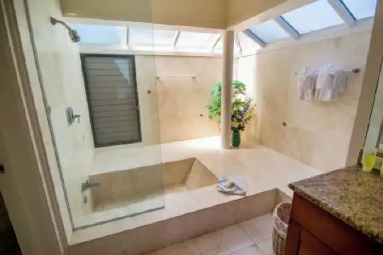 Kapalua Villas Maui - 180