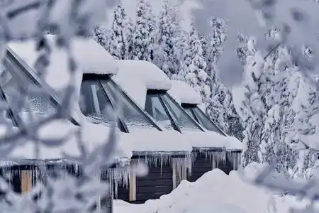 Northern Lights Village Levi - 2
