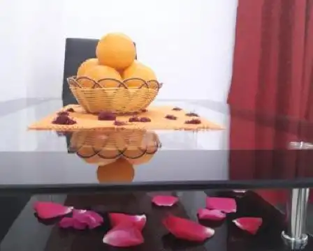 Guesthouse Oaza Emi - 20