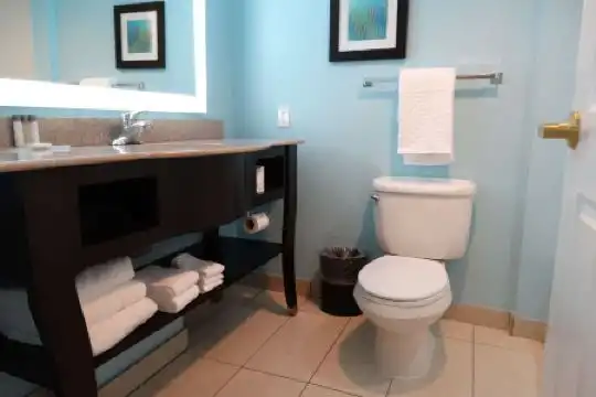 Best Western Plus Orlando Lake Buena Vista South Inn Suites - 53