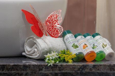 Sarang Palace - A Luxury Boutique - 37