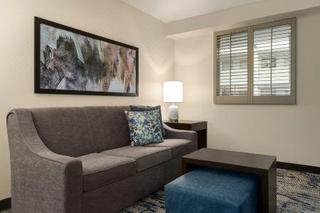 Embassy Suites by Hilton Atlanta at Centennial Olympic Park - 41