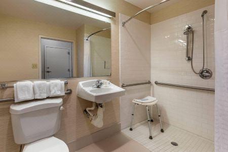 Comfort Inn & Suites North Dallas-Addison - 20