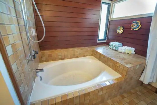 Kapalua Villas Maui - 341