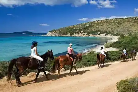 Dell'Ancora - 0