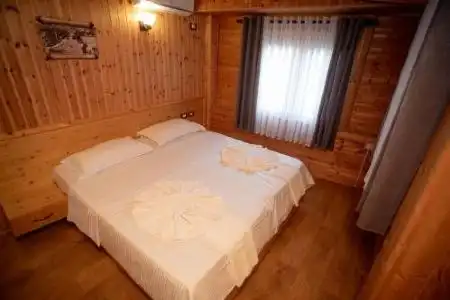 Shpija e Gjyshit - 55