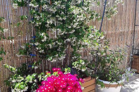 B&B Smartfit House - Room & Relax in Pescara - 1