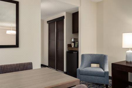 Embassy Suites by Hilton Atlanta at Centennial Olympic Park - 30