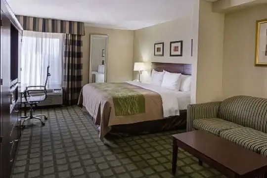 Comfort Inn Southwest Fwy at Westpark - 20