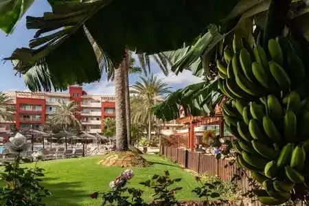 Elba Carlota Beach & Golf Resort - 2