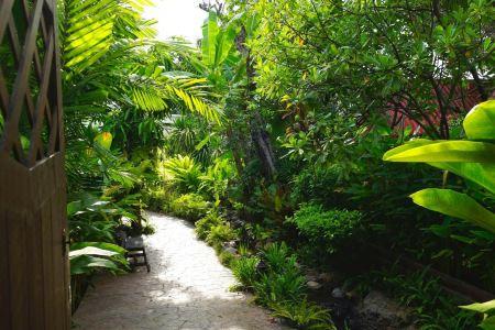 Ruenkanok Thaihouse Resort - 1