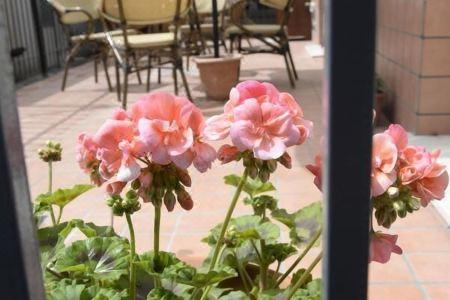 B&B San Leonardo - 7