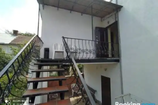 Sadyba Margaryta - 12