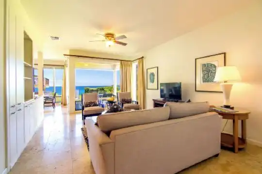 Kapalua Villas Maui - 159