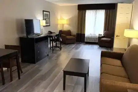 Comfort Inn & Suites Tampa North I-75 - 17